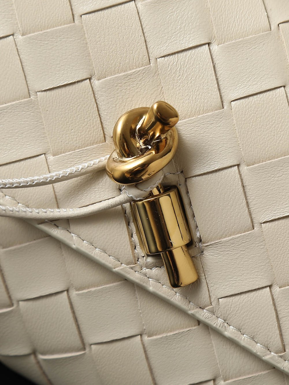 Dragons Bags Bottegan Luxury Bag --91372