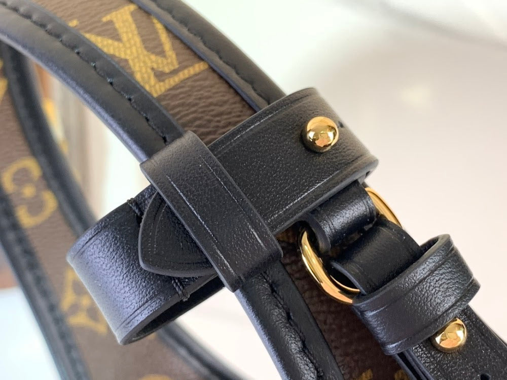Dragons Bags ln Luxury Bag --62716
