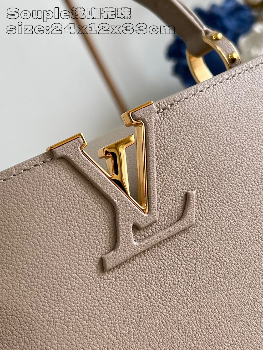 Dragons Bags ln Luxury Bag --96866