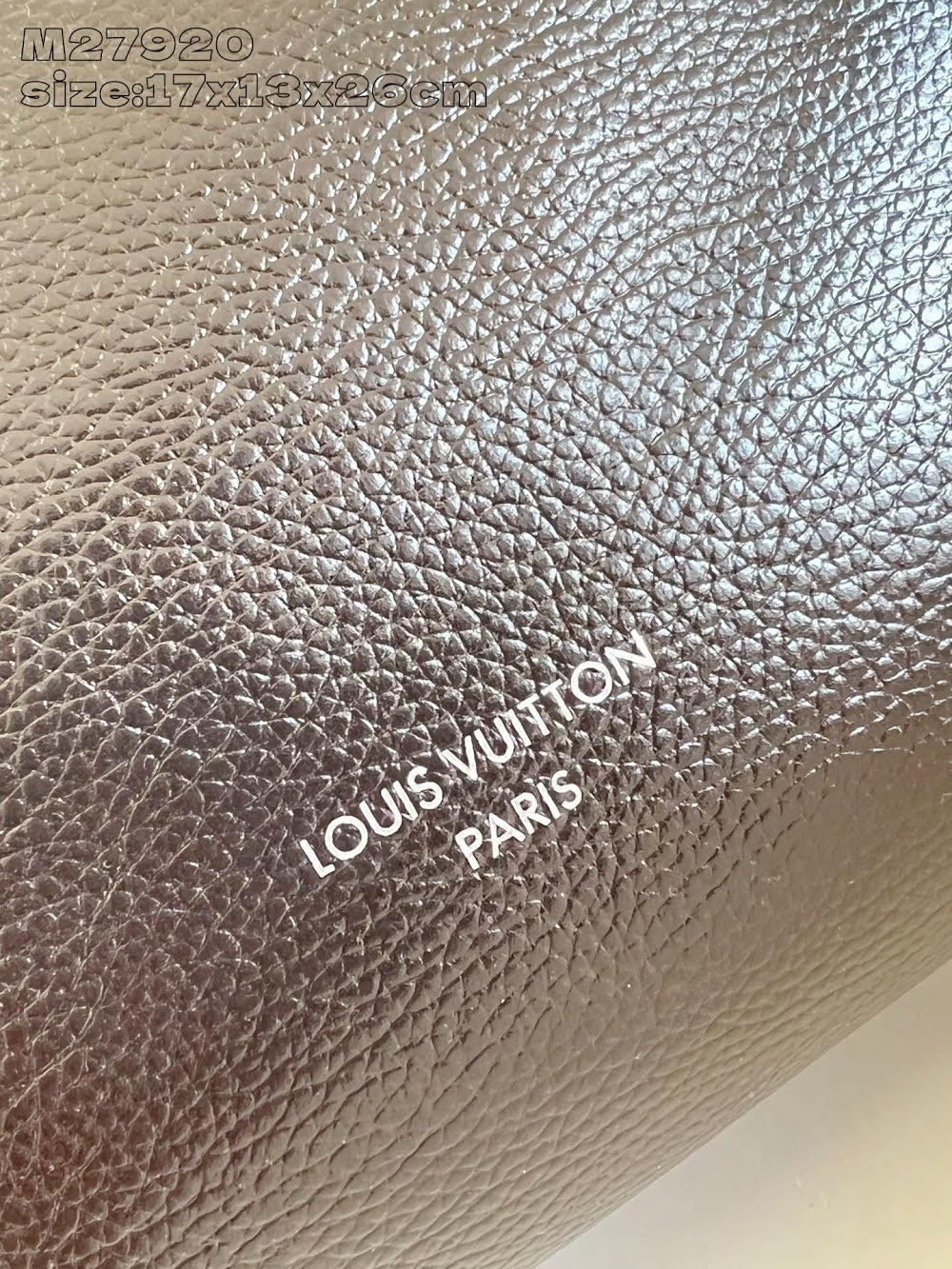 Dragons Bags ln Luxury Bag --95837