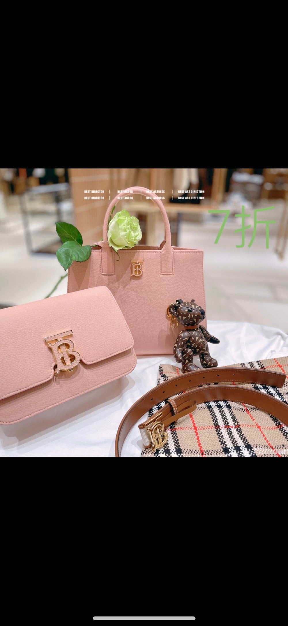 Dragons Bags Burberryn Luxury Bag --92695