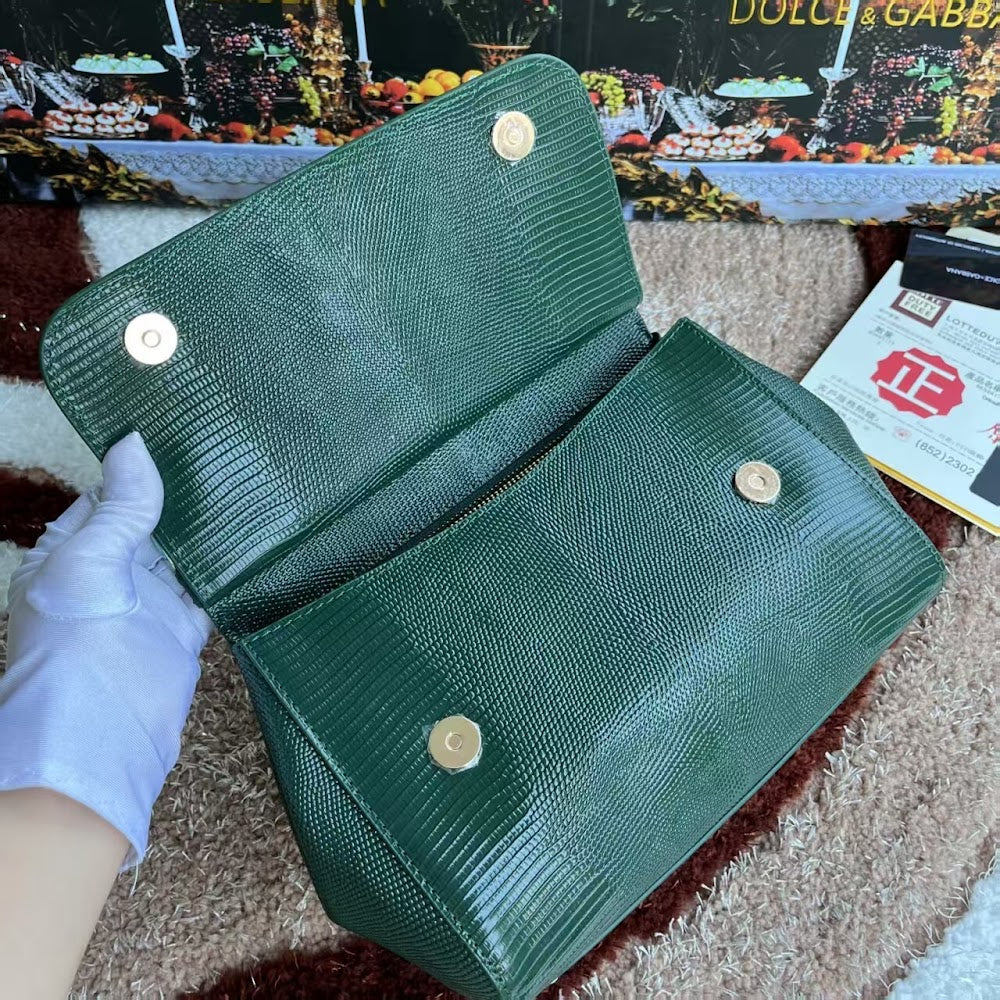 Dragons Bags DGn Luxury Bag --94043