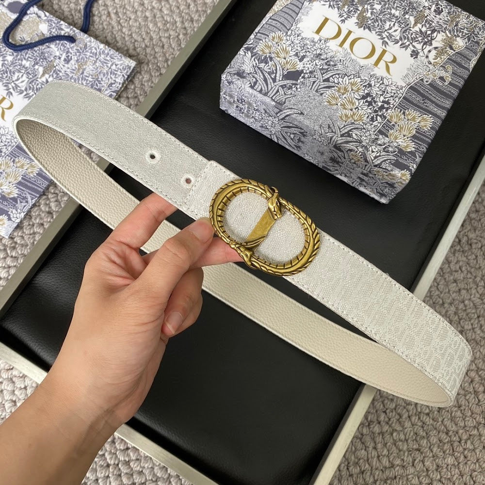 Dragons Bags Diorn Luxury Belt --104900