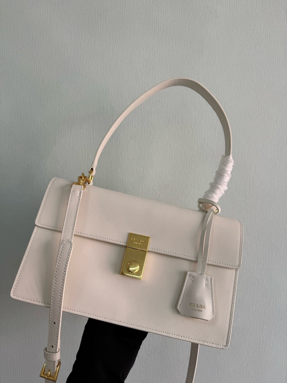 Dragons Bags Pradn Luxury Bag --102544