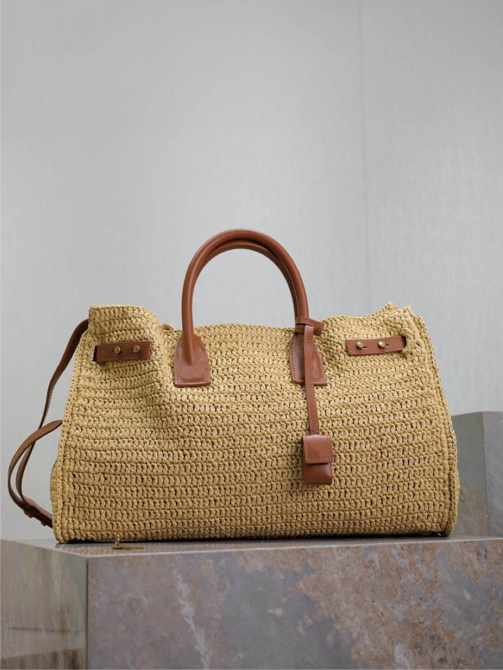 Dragons Bags YSLn Luxury Bag --120239