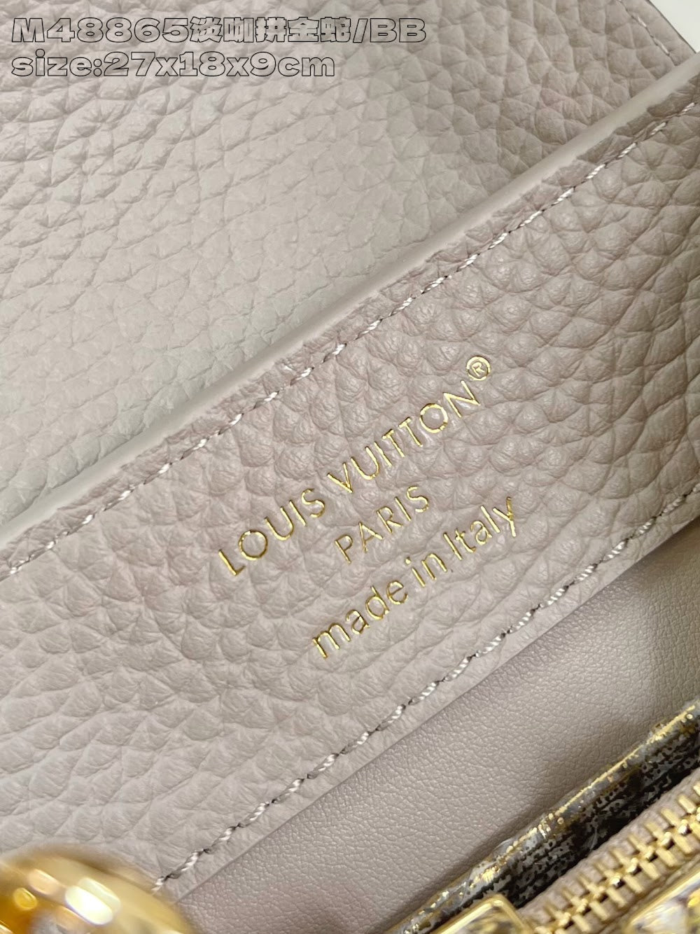 Dragons Bags ln Luxury Bag --95893