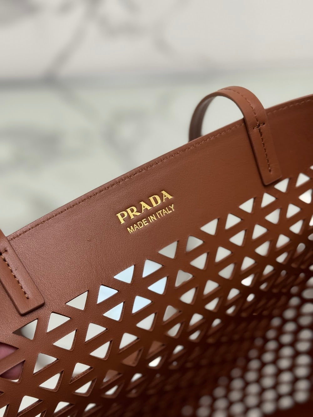 Dragons Bags Pradn Luxury Bag --101865