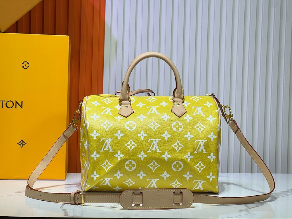 Dragons Bags LVn Luxury Bag --80991