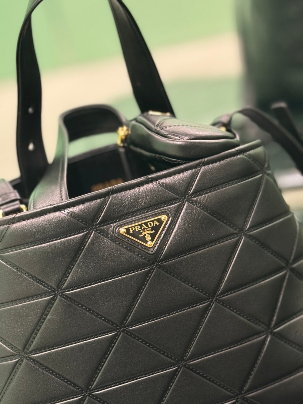 Dragons Bags Pradn Luxury Bag --102962