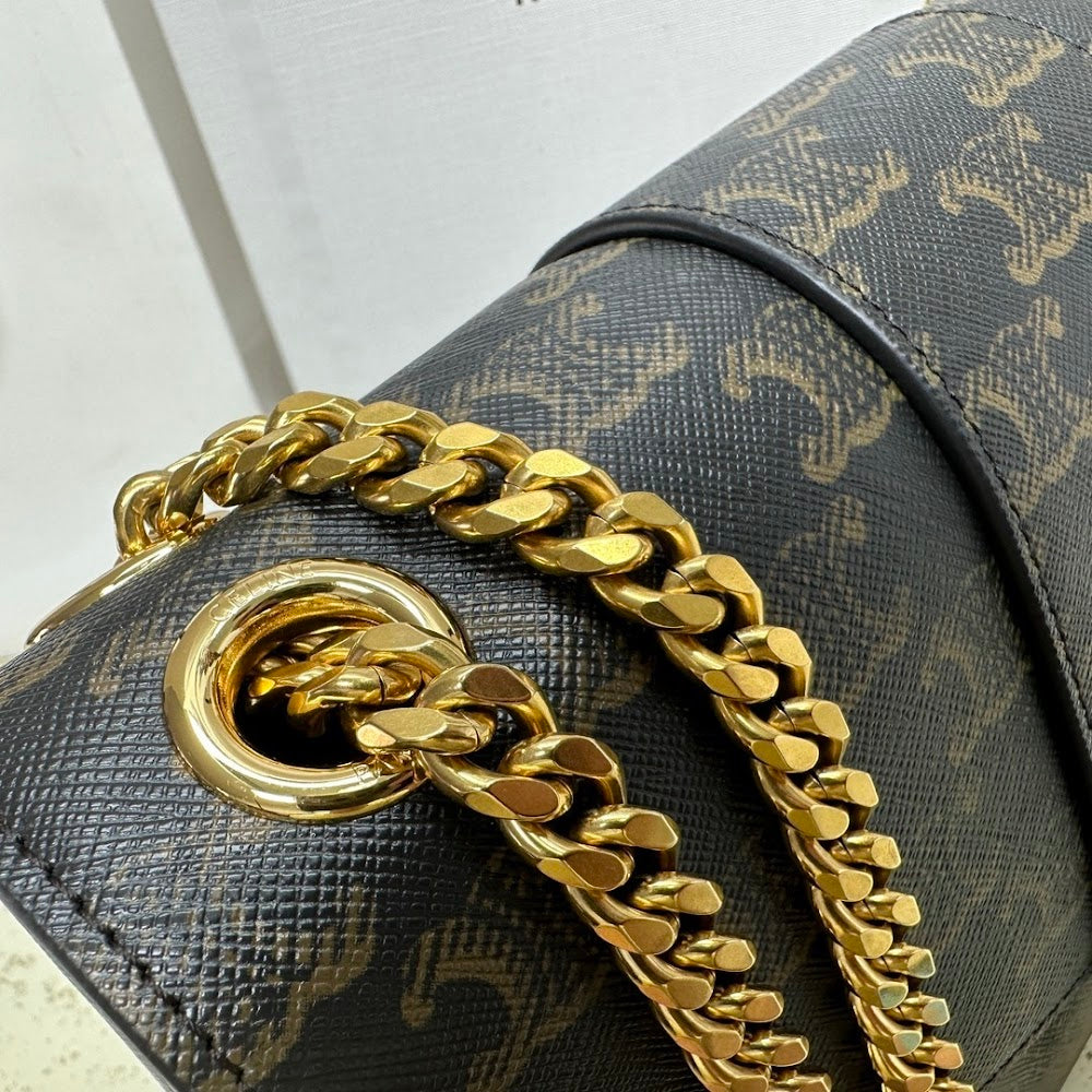 Dragons Bags Celine Luxury Bag --112440