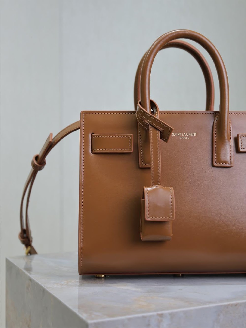 Dragons Bags YSLn Luxury Bag --119617
