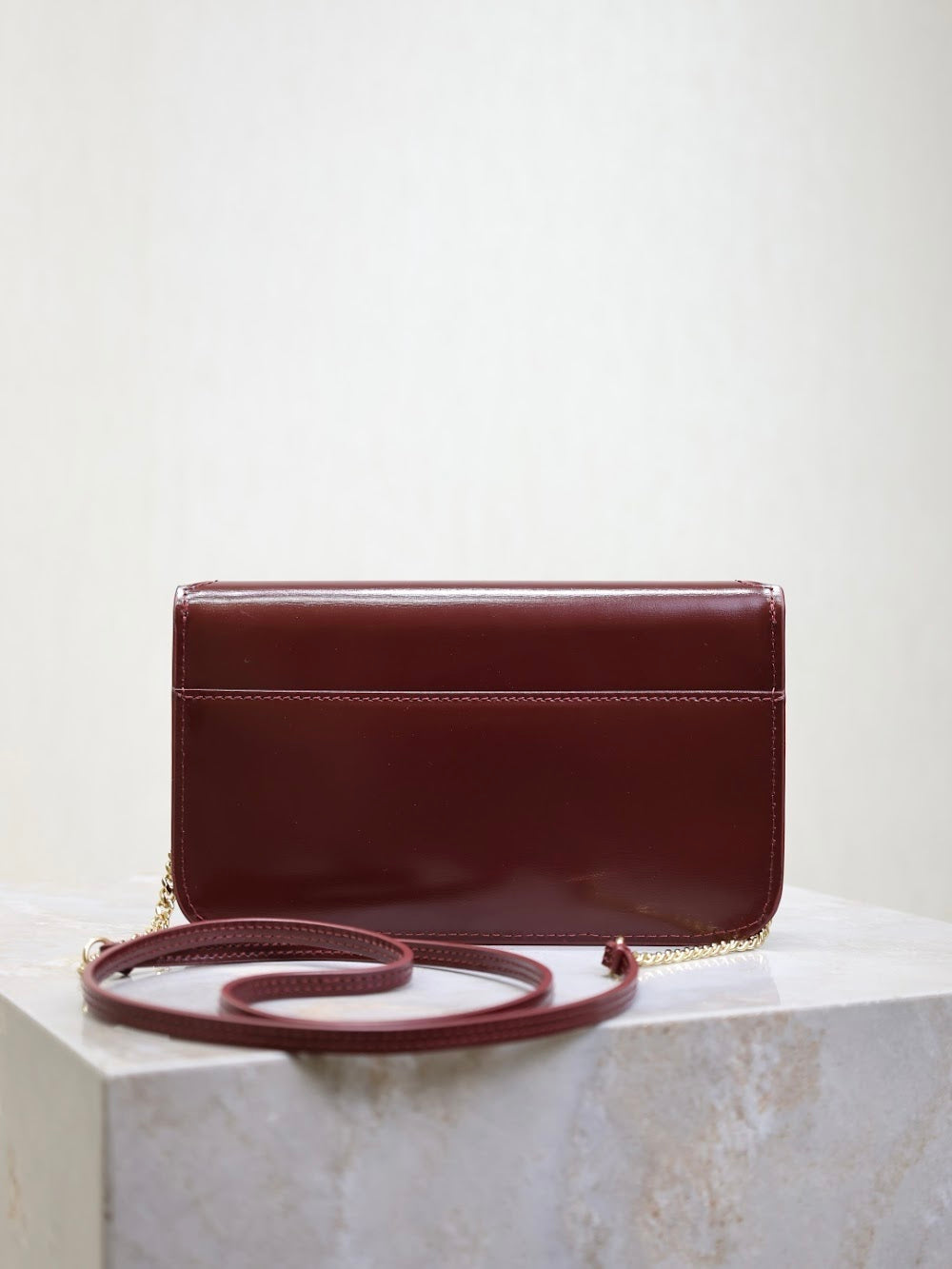 Dragons Bags YSLn Luxury Bag --120481