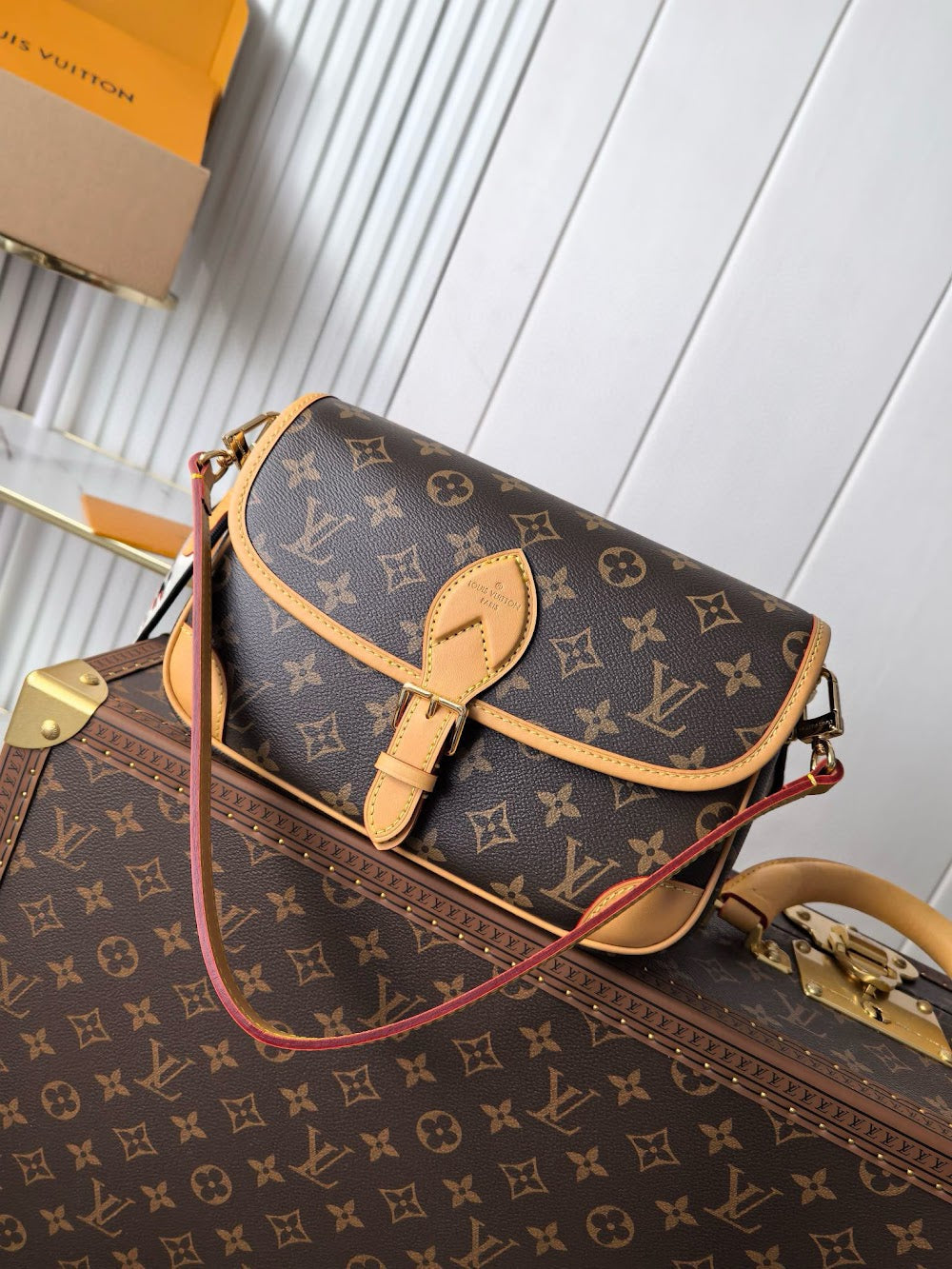 Dragons Bags ln Luxury Bag --81553