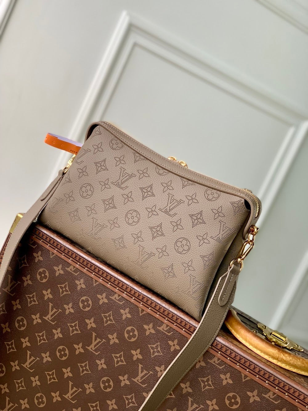 Dragons Bags ln Luxury Bag --97030