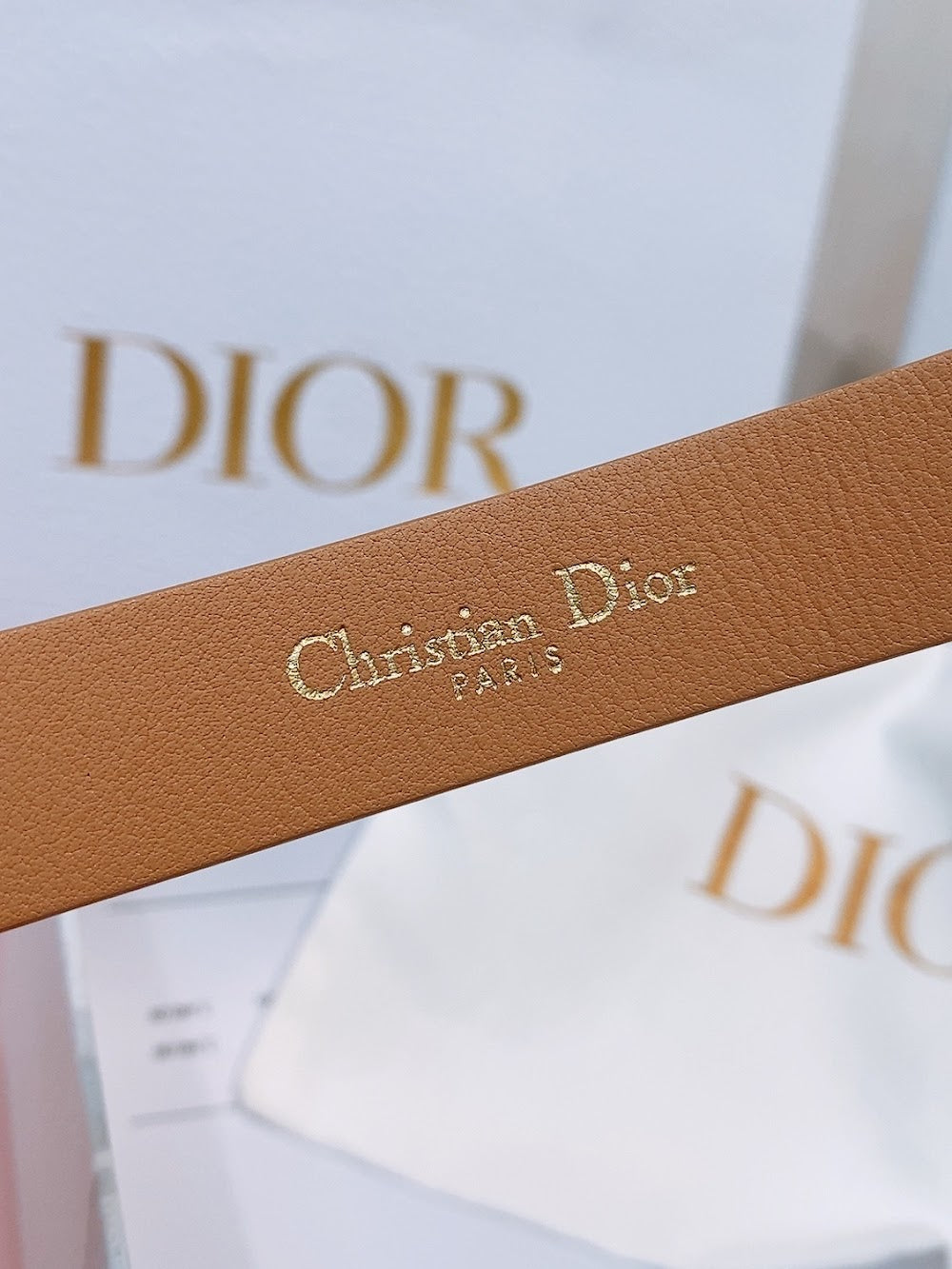 Dragons Bags Diorn Luxury Belt --107822