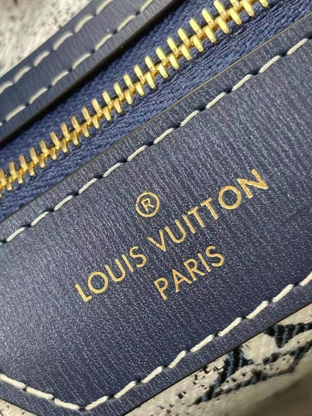 Dragons Bags ln Luxury Bag --56974