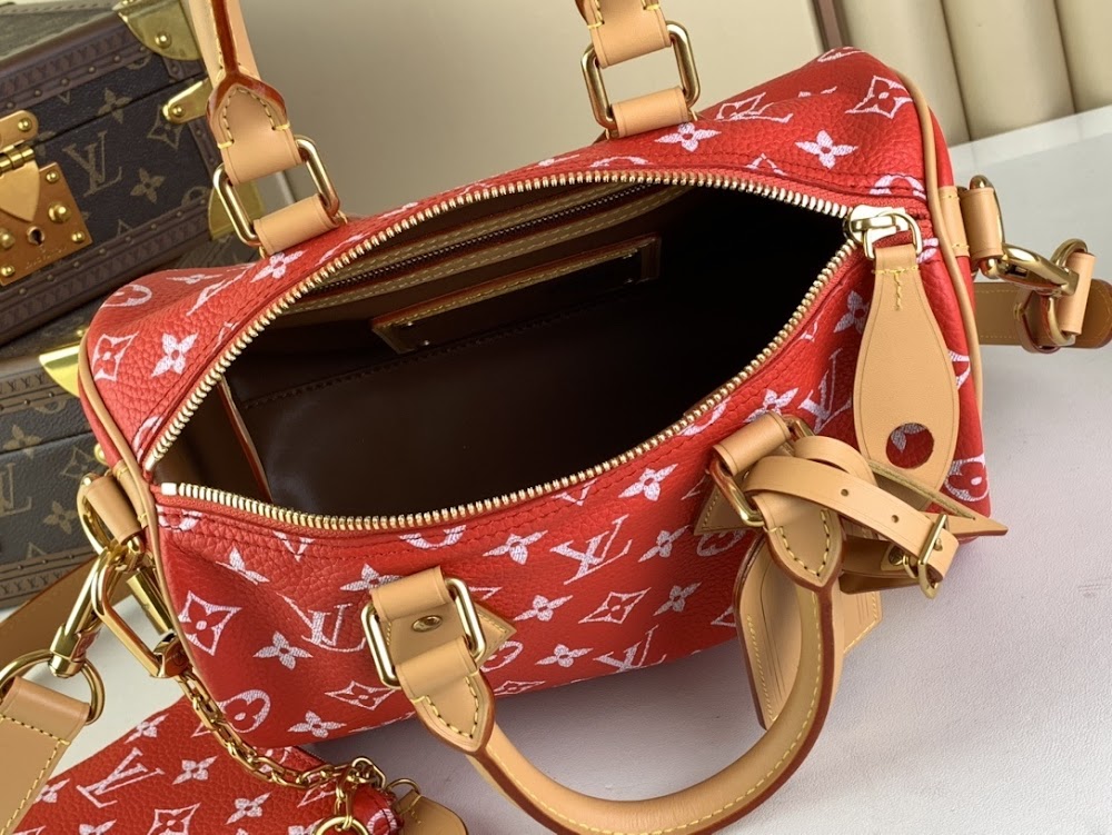 Dragons Bags ln Luxury Bag --68897