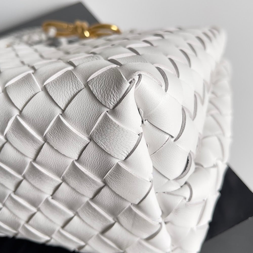new-designer-premium-bags-nm10698