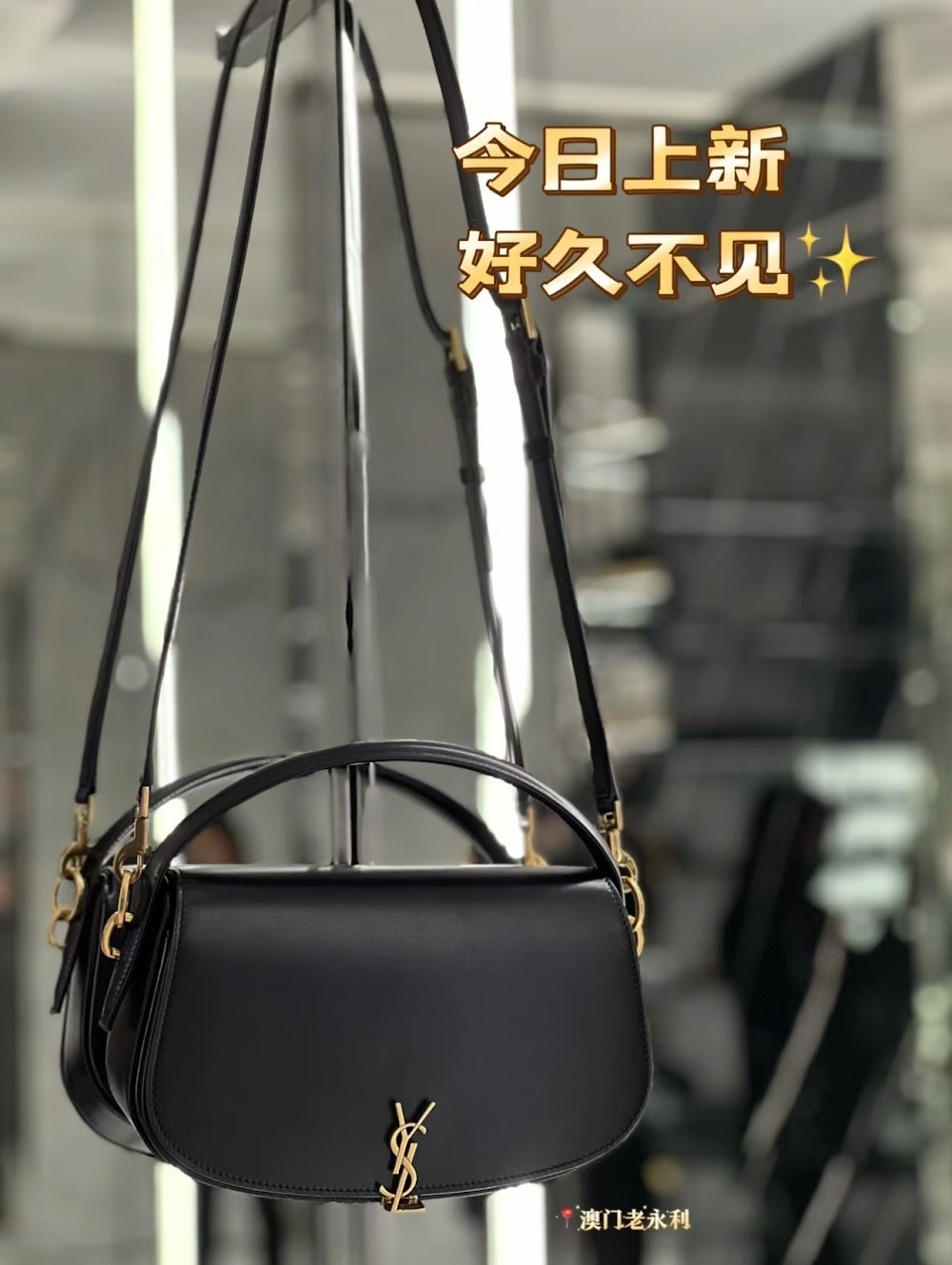 Dragons Bags YSLn Luxury Bag --119101