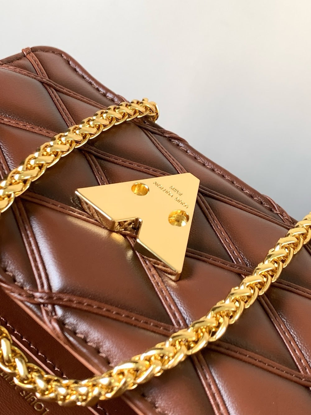 Dragons Bags LVn Luxury Bag --78956