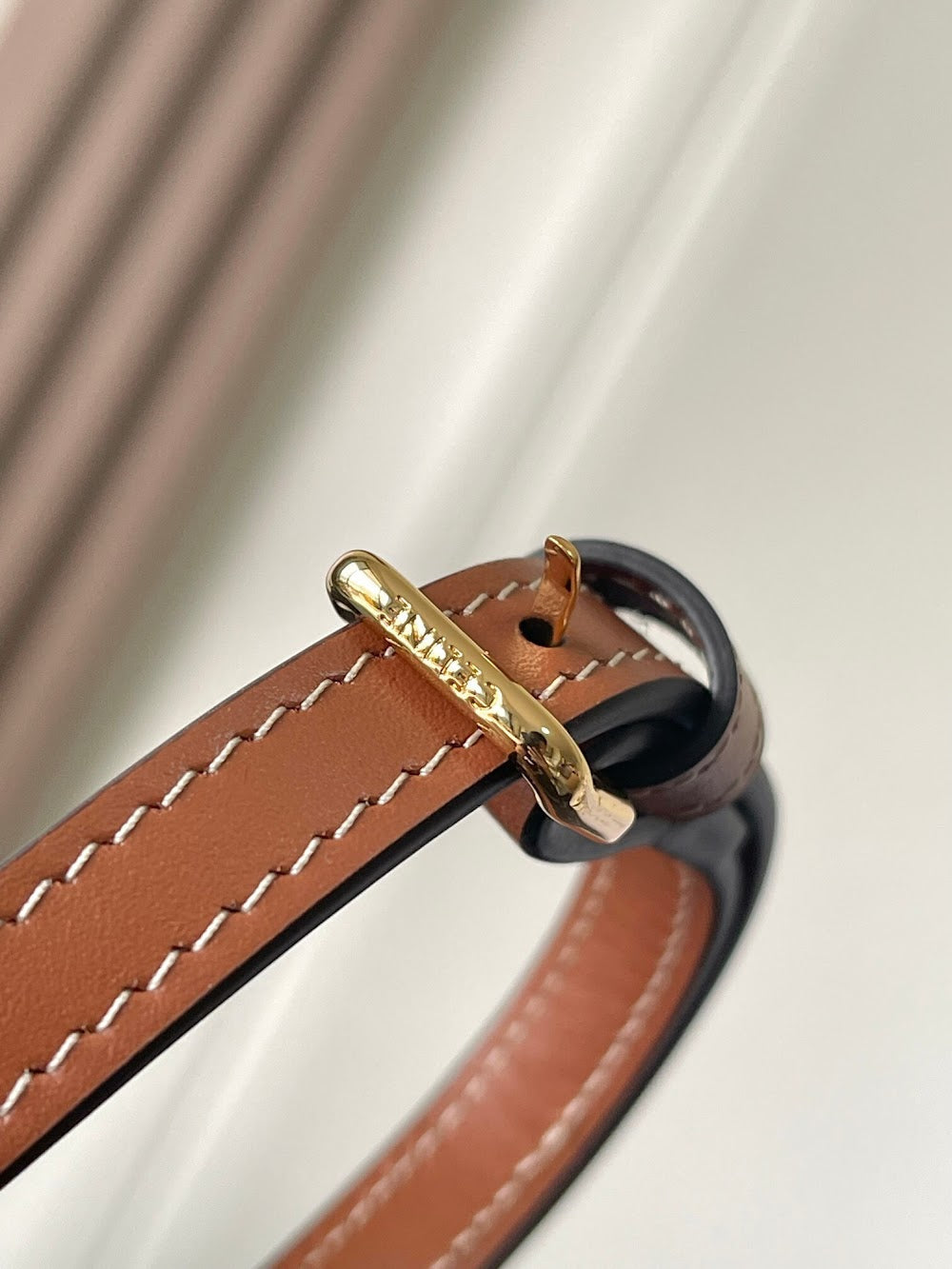 Dragons Bags Celine Luxury Bag --112323