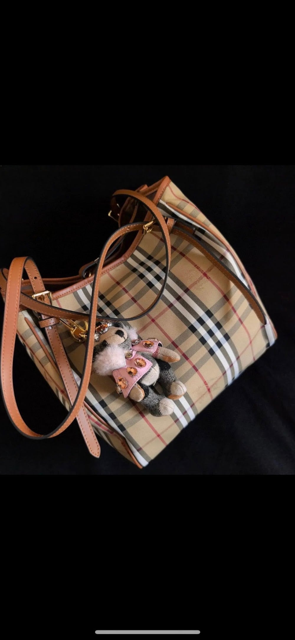 Dragons Bags Burberryn Luxury Bag --92014