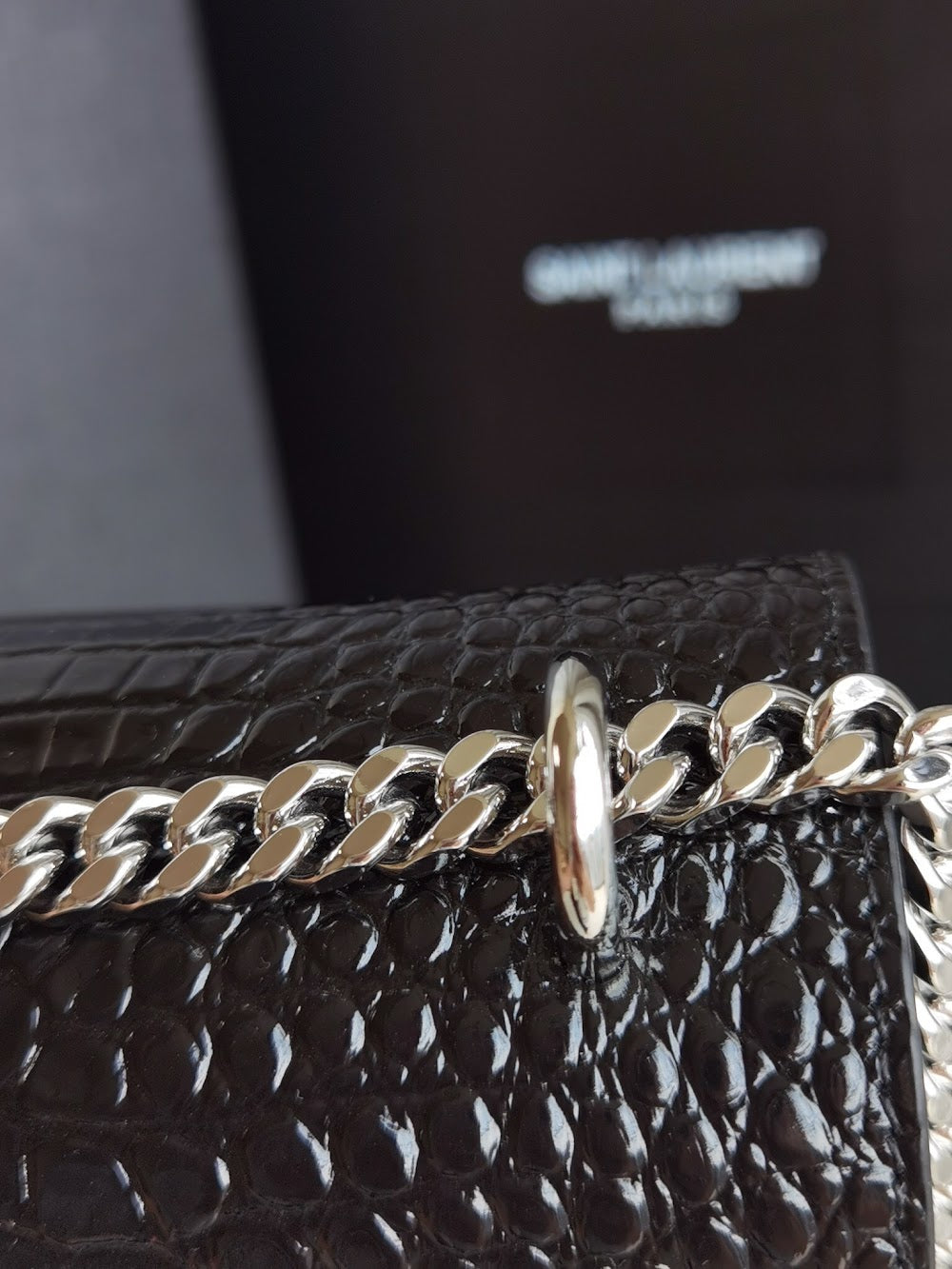 Dragons Bags YSLn Luxury Bag --120809