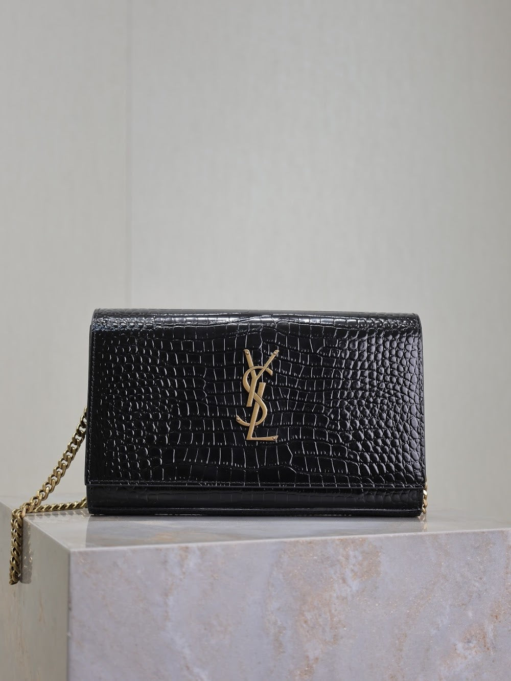 Dragons Bags YSLn Luxury Bag --119661