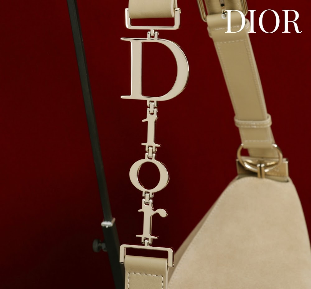 Dragons BagsDiorn Luxury Bag --115365