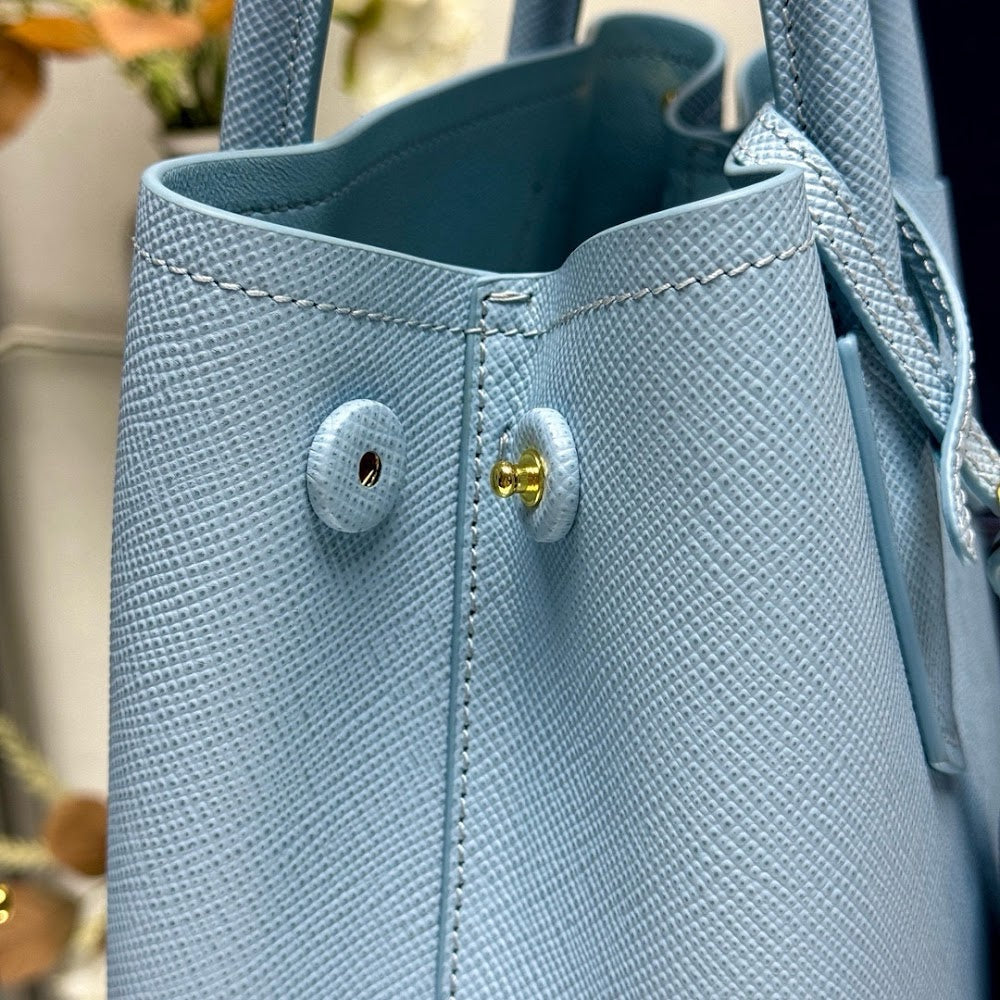 Dragons Bags Pradn Luxury Bag --102220