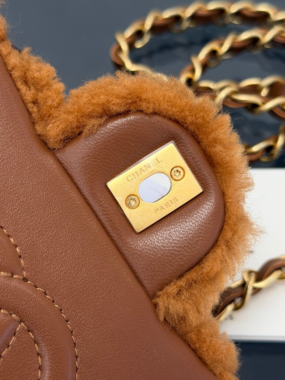Dragons Bags CHn Luxury Bag --112849