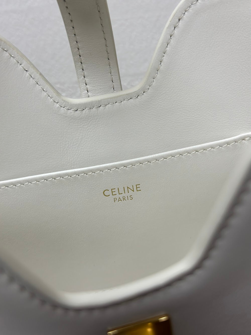 Dragons Bags Celine Luxury Bag --112552