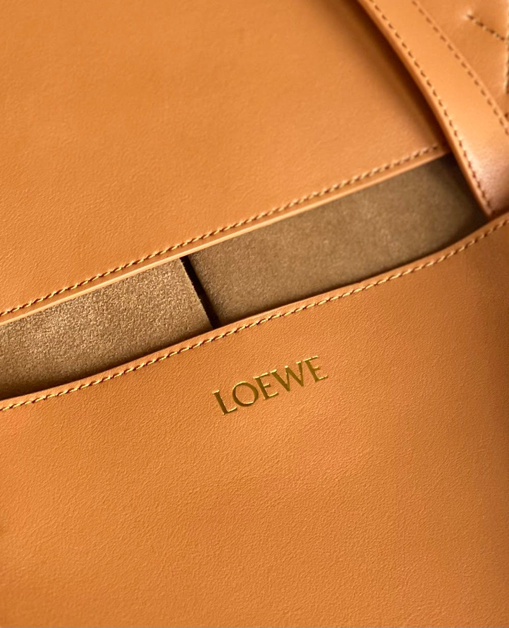Dragons Bags Lowen Luxury Bag --100114