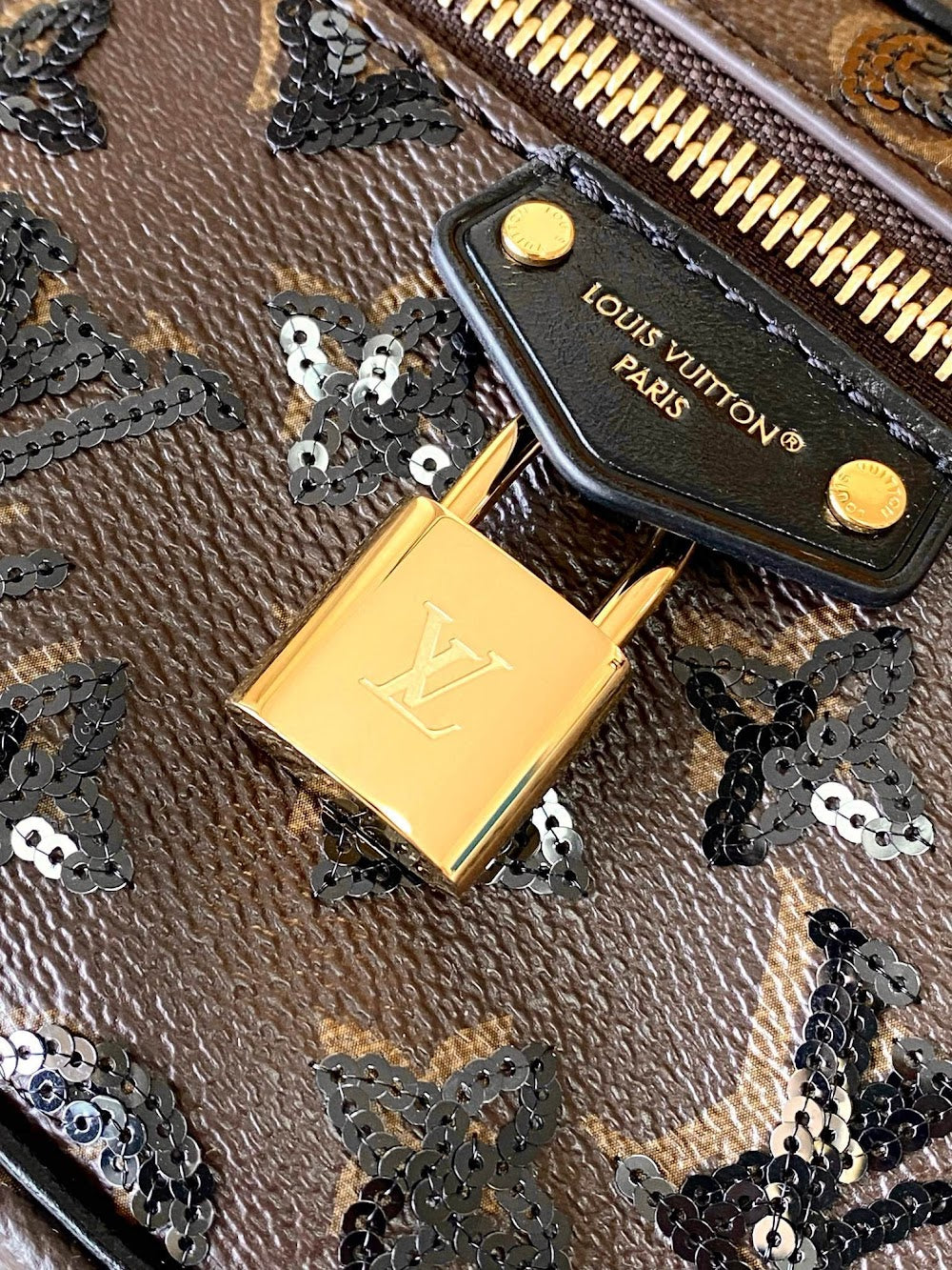 Dragons Bags ln Luxury Bag --95551