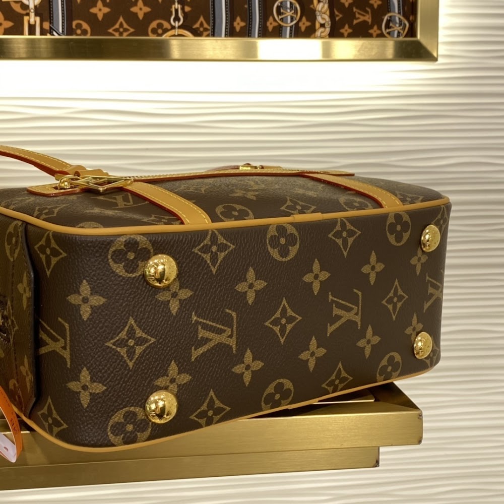 Dragons Bags LVn Luxury Bag --81127