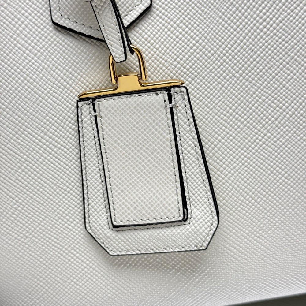 Dragons Bags Pradn Luxury Bag --102202