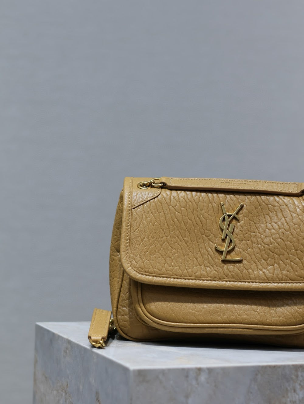 Dragons Bags YSLn Luxury Bag --119693