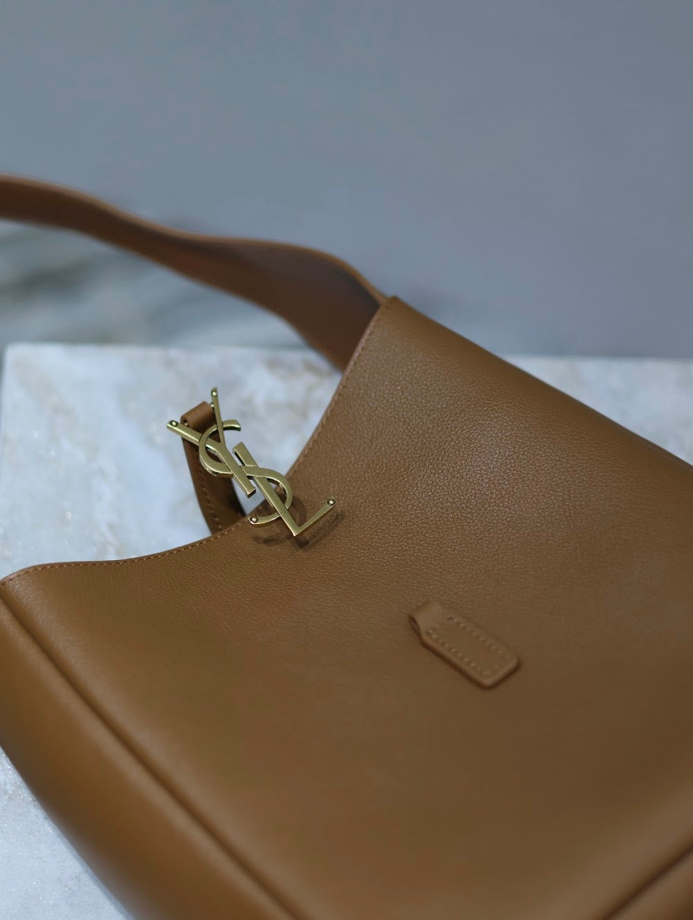 Dragons Bags YSLn Luxury Bag --119228