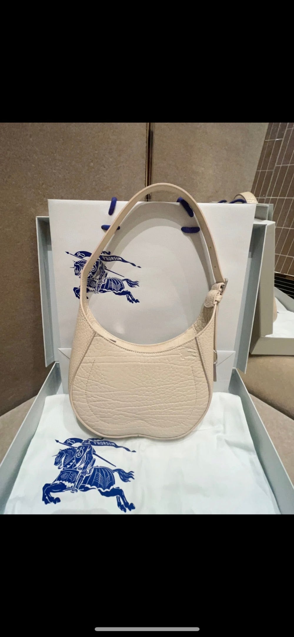 Dragons Bags Burberryn Luxury Bag --91707