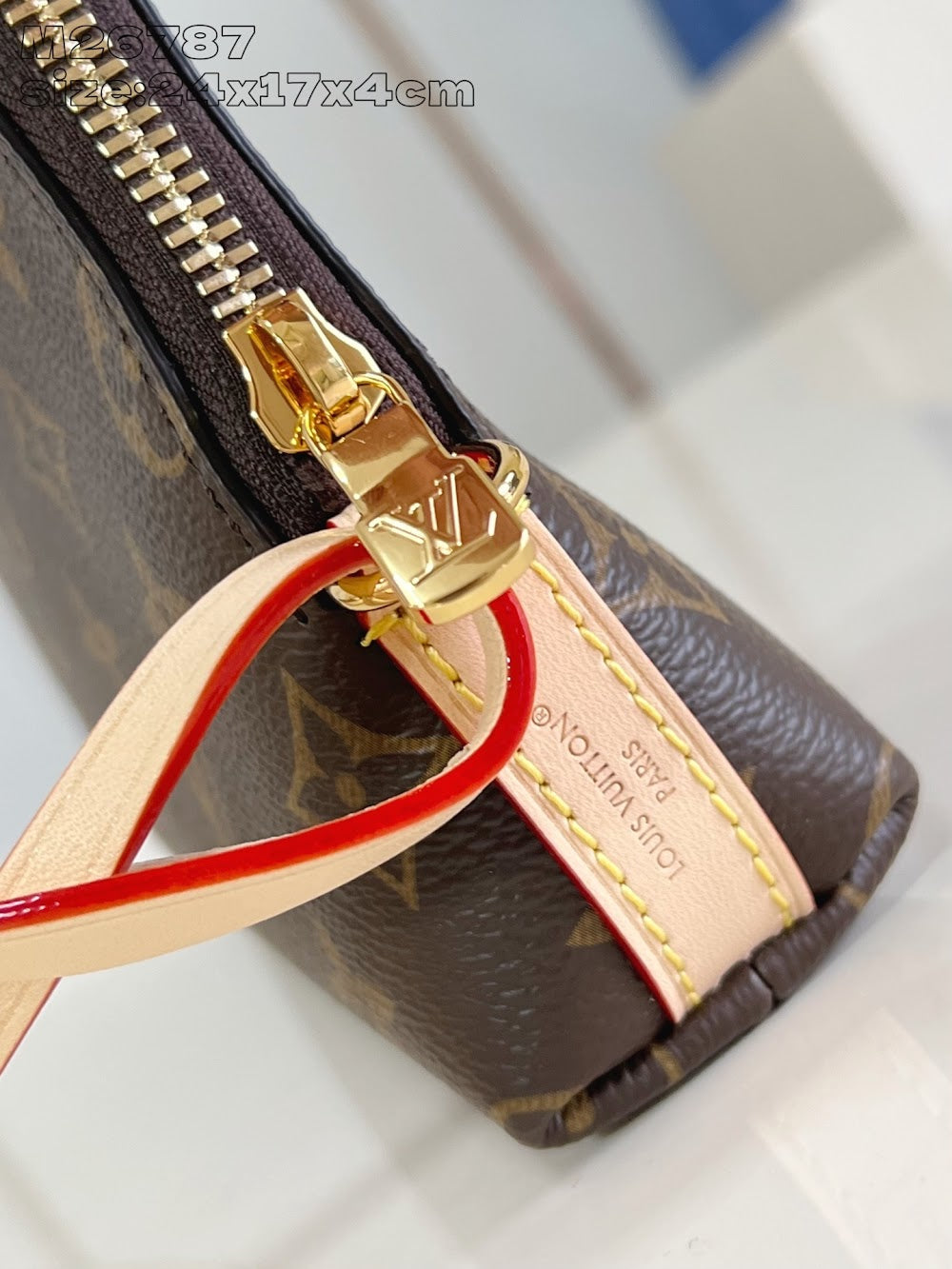 Dragons Bags ln Luxury Bag --95667