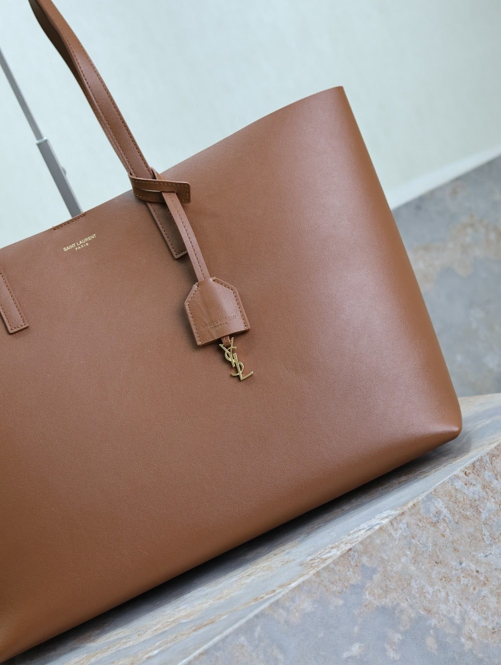 Dragons Bags YSLn Luxury Bag --119262