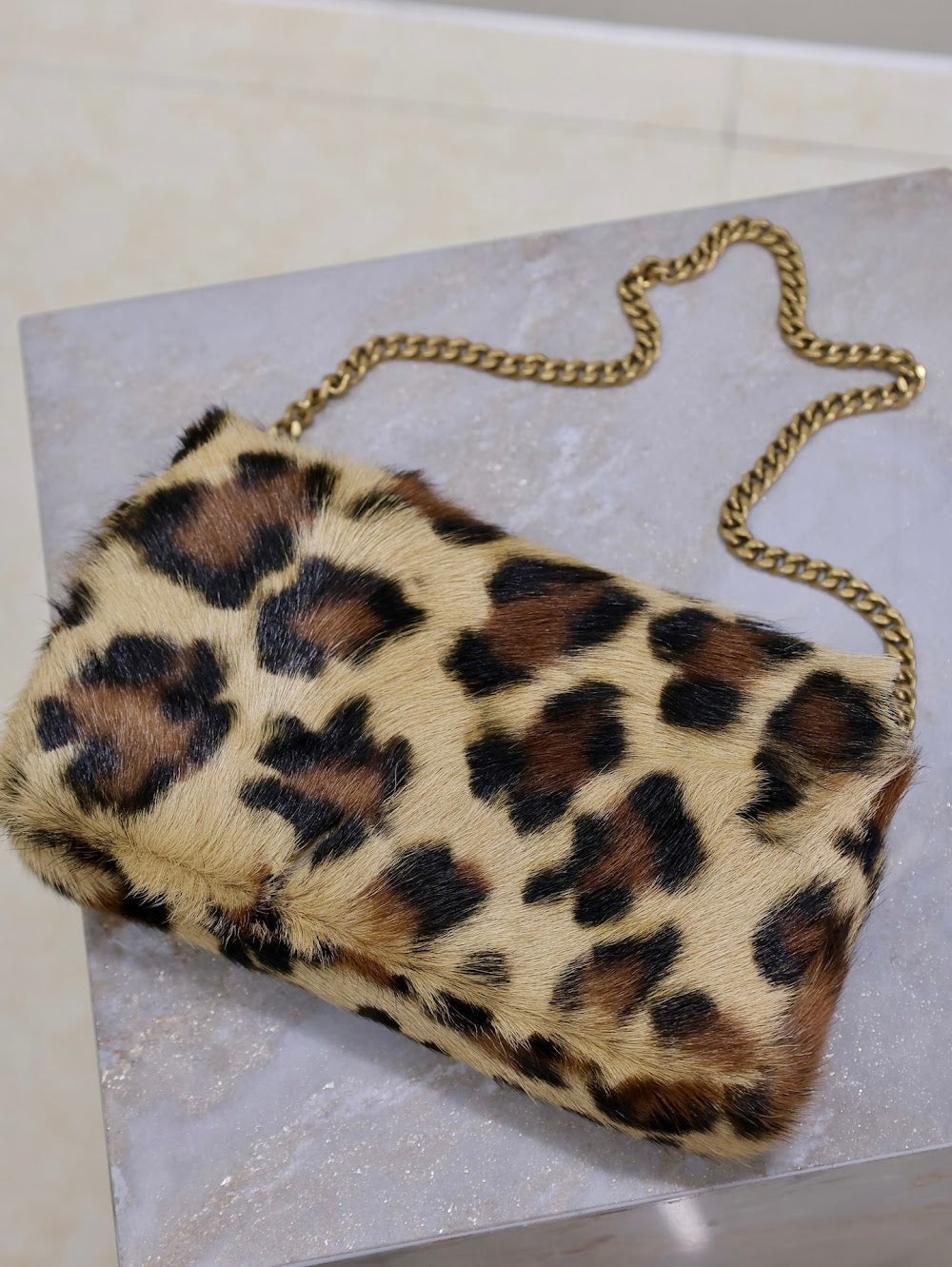Dragons Bags YSLn Luxury Bag --119359