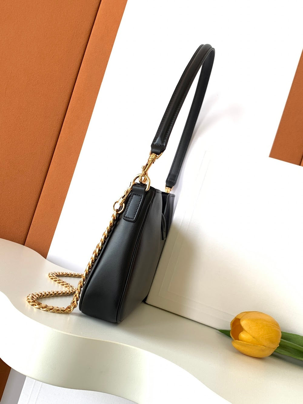 Dragons Bags Celine Luxury Bag --112088