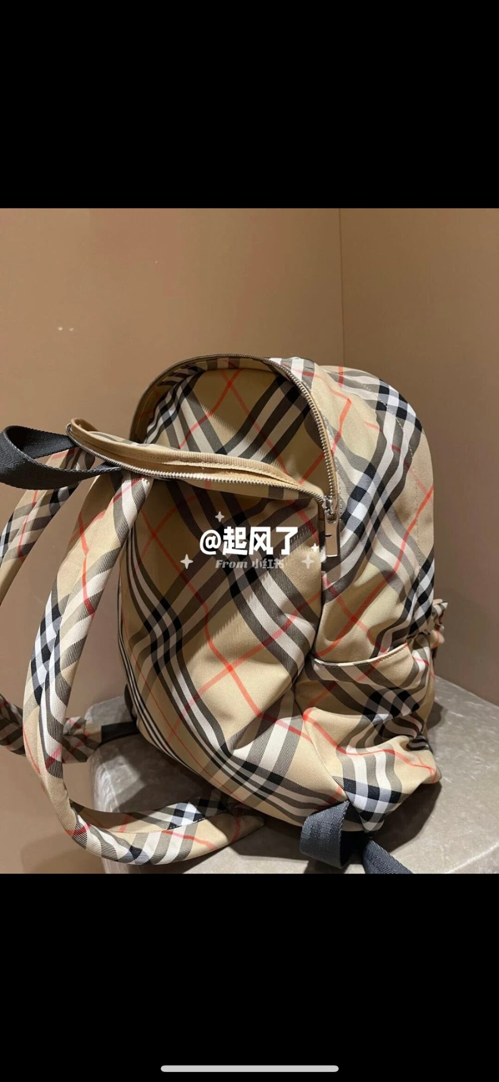 Dragons Bags Burberryn Luxury Bag --93136