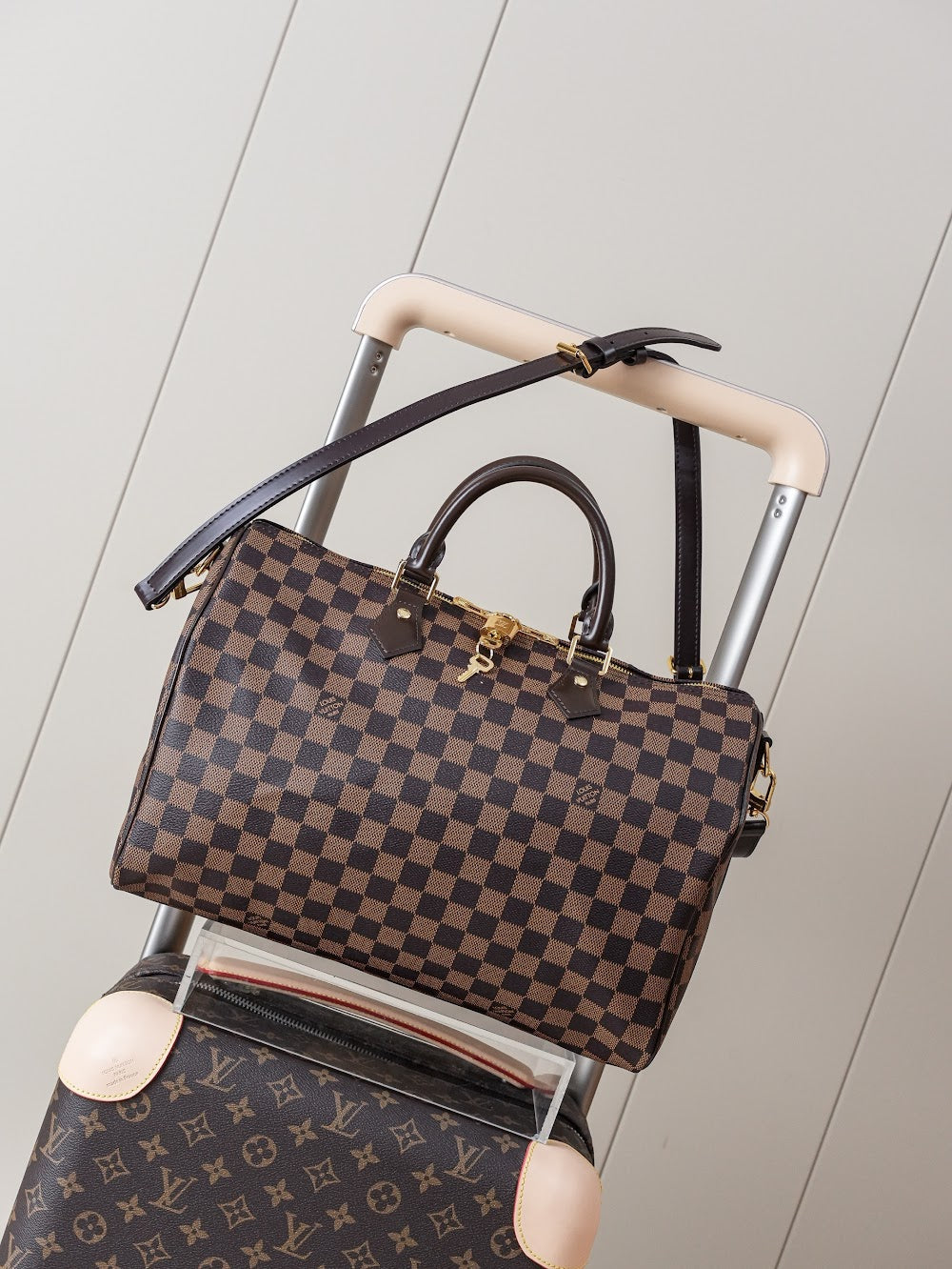 Dragons Bags LVn Luxury Bag --81025