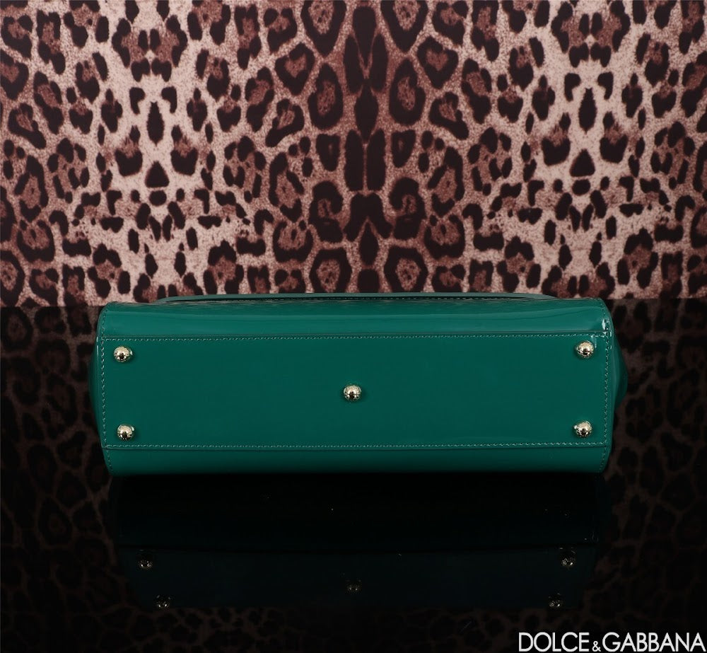 Dragons Bags DGn Luxury Bag --93631