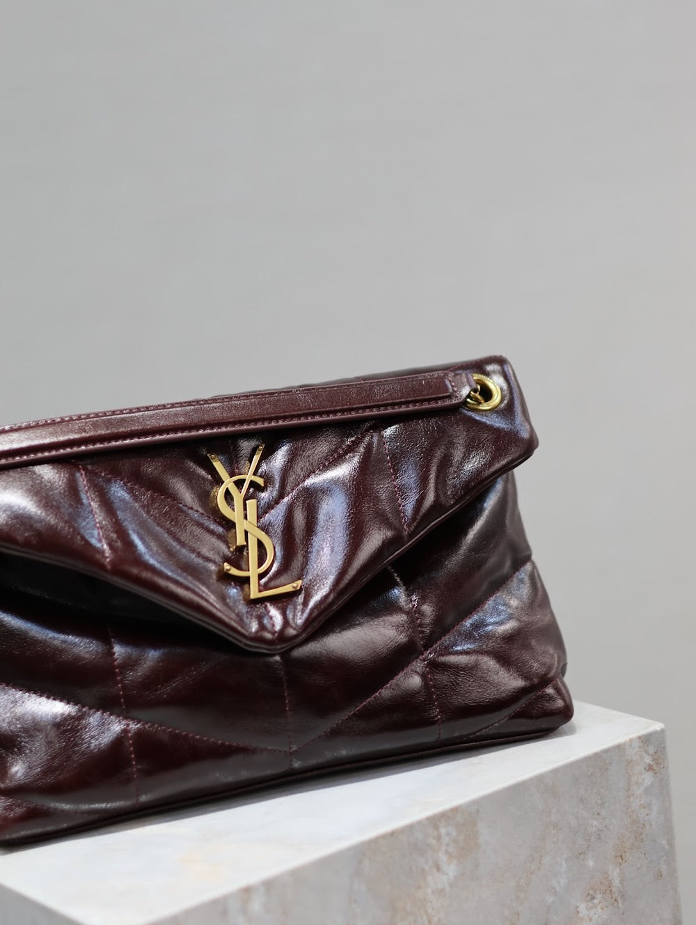 Dragons Bags YSLn Luxury Bag --119413