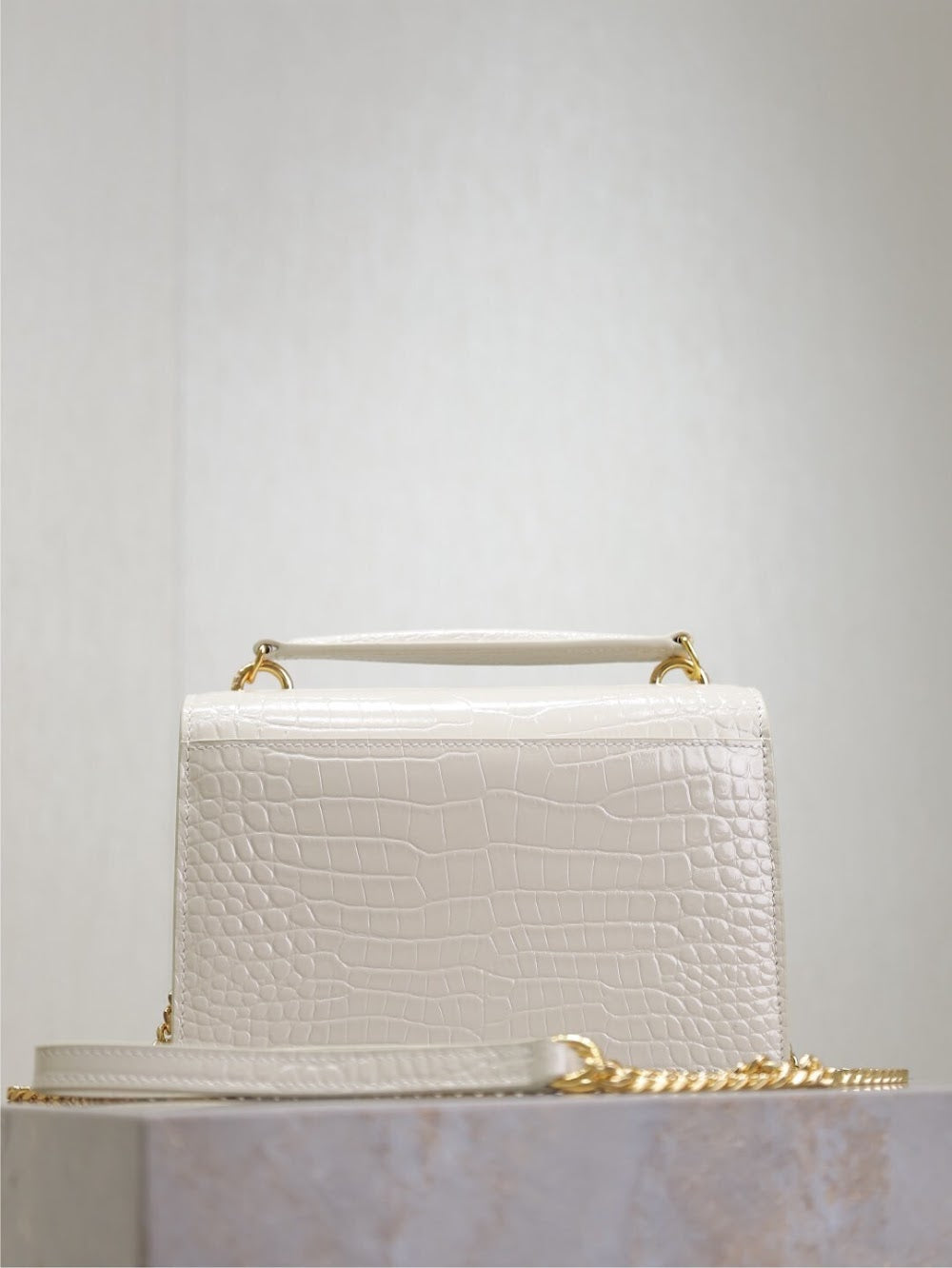 Dragons Bags YSLn Luxury Bag --119626