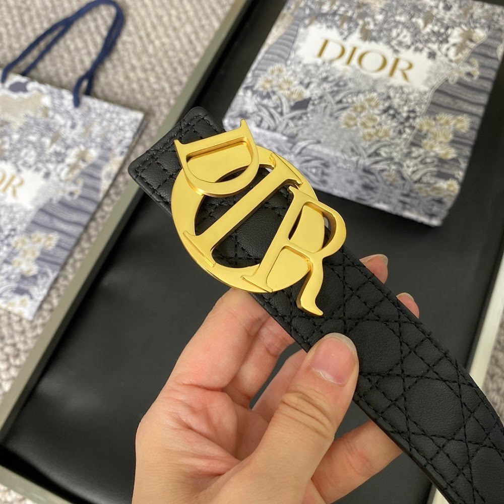 Dragons Bags Diorn Luxury Belt --107731