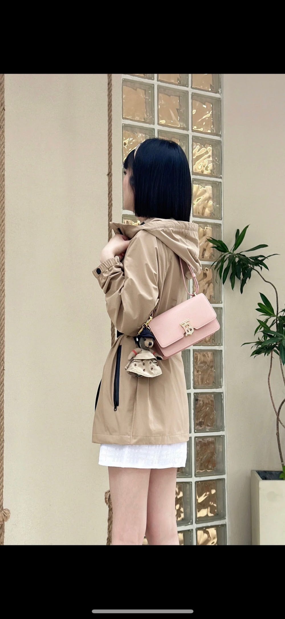 Dragons Bags Burberryn Luxury Bag --91608